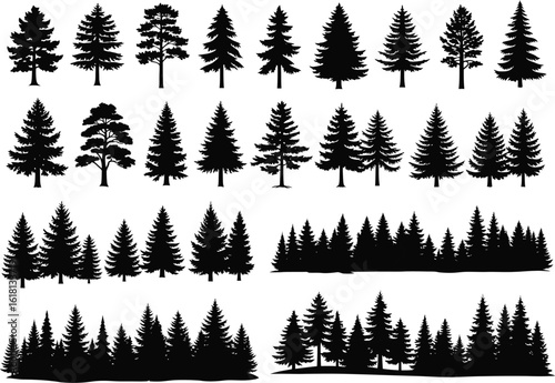 Collection of silhouetted evergreen trees in various styles and arrangements for nature and forest themed designs