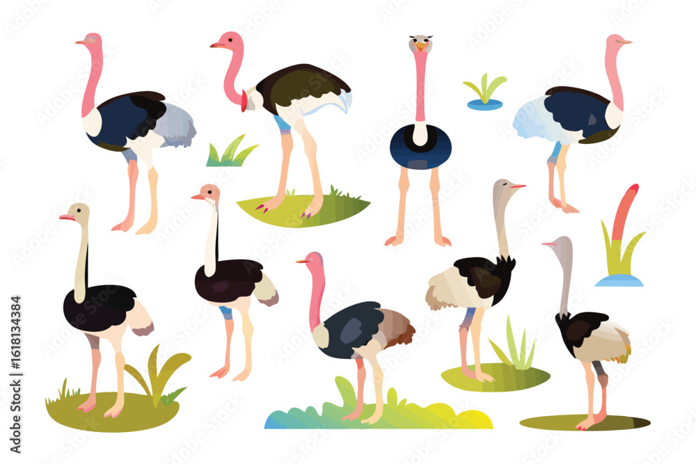 Fototapeta premium Cartoon Ostriches Group: A colorful assortment of cartoon ostriches stand in a playful array of poses, showcasing the unique and iconic qualities of these amazing birds.