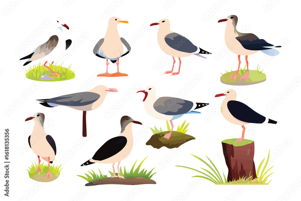 Fototapeta premium Seagull Collection: A collection of seagulls in various poses against a backdrop of natural elements.