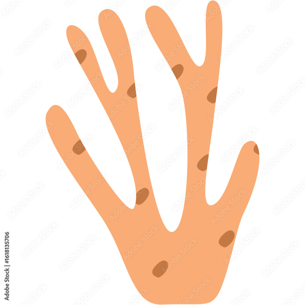 Fototapeta premium Coral Vector Illustration