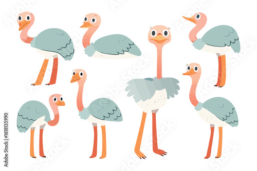 Cartoon Ostriches: Capturing the essence of these fascinating creatures with whimsical illustrations, showcasing their distinct features and characteristics.