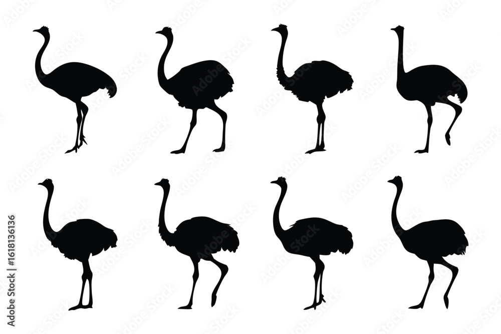 Obraz premium Ostrich Silhouette Array: An artistic depiction of ostriches in silhouette, presenting a series of elegant and graceful profiles, perfect for design usage.