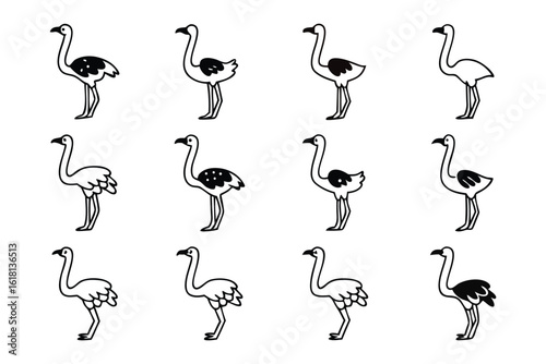 Ostrich Illustration Array: A graphic array of ostrich illustrations, showcasing the elegant form of the world's largest flightless bird in a minimalist monochrome.