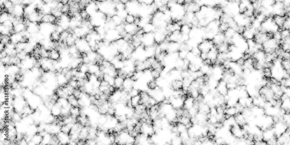 Obraz premium black and white background