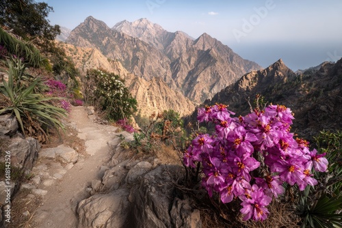 Mountain path with vibrant pink flowers