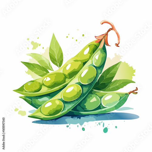 Artistic watercolor illustration of fresh, open green pea pods with leaves and vibrant color splashes.