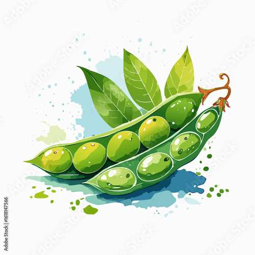 Artistic watercolor illustration of fresh, split green pea pods with shiny peas and leaves.