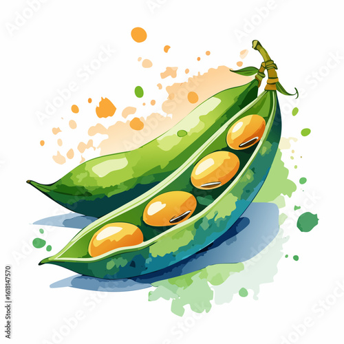 Vibrant watercolor illustration of an open green soybean pod with ripe yellow beans.