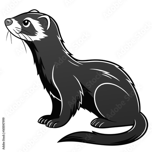 black and white seal