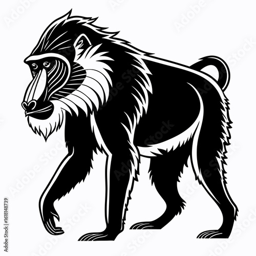 lion vector illustration