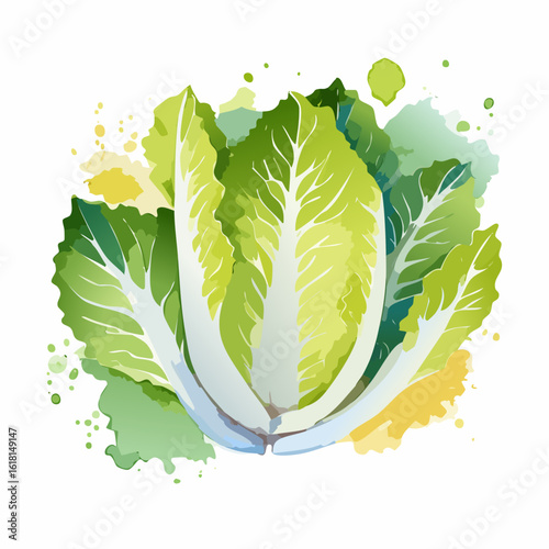 Fresh Chinese cabbage head illustrated in a vibrant watercolor style with paint splatters.