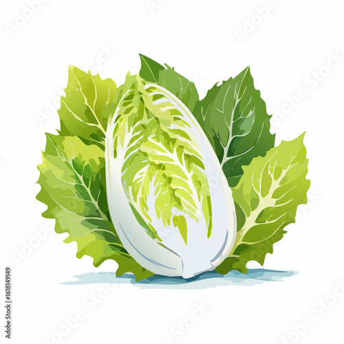 Watercolor illustration of a fresh Napa cabbage with crisp, leafy green and white textures.