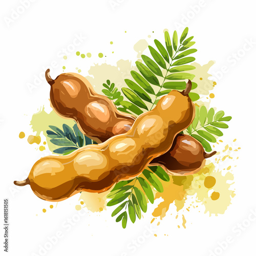 Artistic watercolor illustration of ripe brown tamarind pods with fresh green leaves.