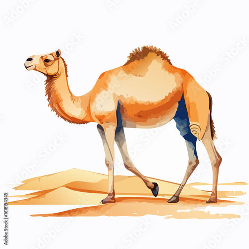 Graceful dromedary camel walking, depicted in a warm-toned watercolor illustration style.