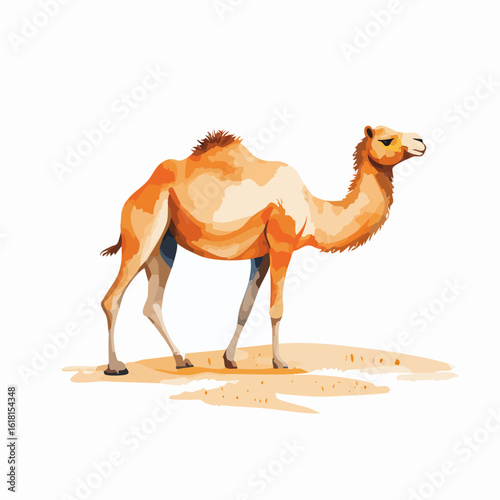 Warm-toned dromedary camel with a single hump, illustrated in a clean, stylized vector art style.
