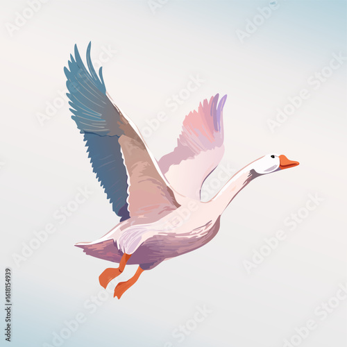 Elegant white goose in flight, a painterly illustration with pink and blue wings.