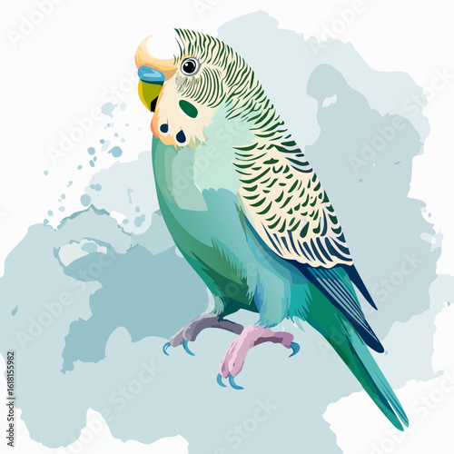 Detailed vector illustration of a blue and green budgerigar with striped markings.