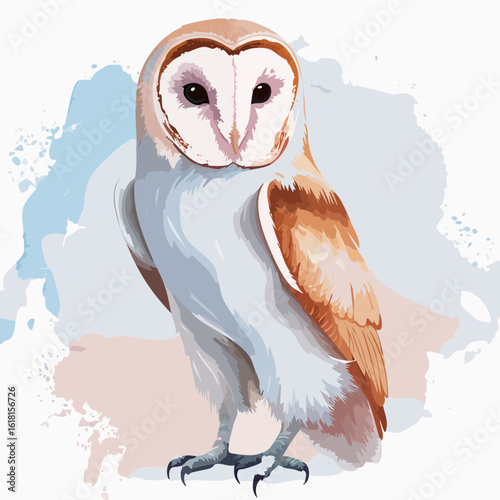 Elegant Barn Owl illustration with a white heart-shaped face and brown wings.