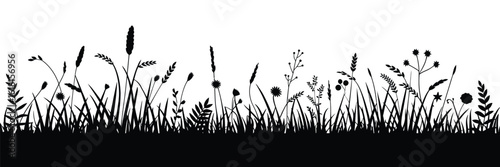 Wildflower Silhouette Vector Set – Black Floral Composition Isolated on White Background, Seamless Rural Grass and Meadow Plants, Perfect for Pasture, Haymaking, and Nature Design Projects

