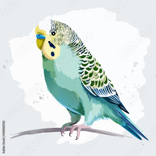 A lovely blue and green budgerigar with a striped head, perched in a watercolor style illustration.