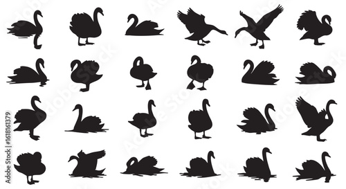 Silhouette Swan Collection Isolated on White Background featuring Different Poses and Actions in a Minimalist Style Perfect for Design