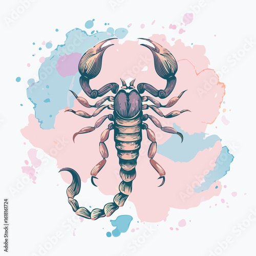 Vintage engraved style scorpion with raised pincers and a curled, segmented tail.