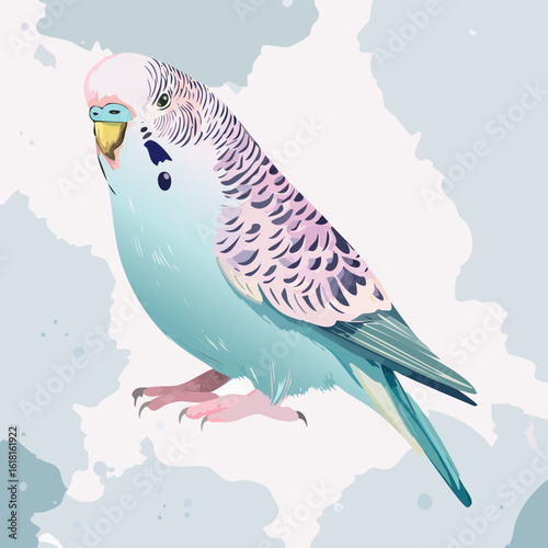 Beautifully illustrated blue budgerigar with pink and purple scalloped feather markings.