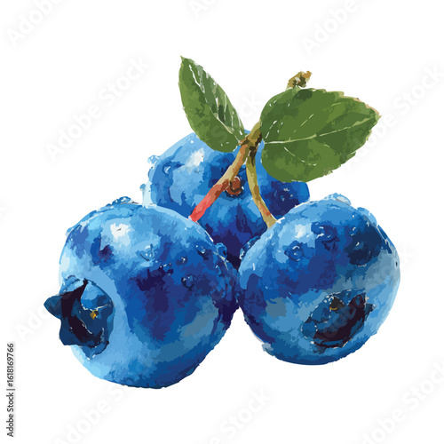 Fresh blueberries with leaves, watercolor illustration, isolated on white background