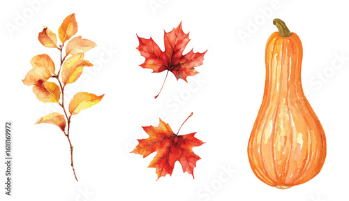 Set of autumn leaves and butternut pumpkin watercolor illustration, isolated on white background