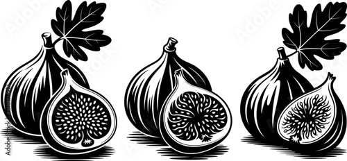 Graceful black silhouette of plump seeded fig, perfect for autumn harvest designs, packaging, and botanical illustrations