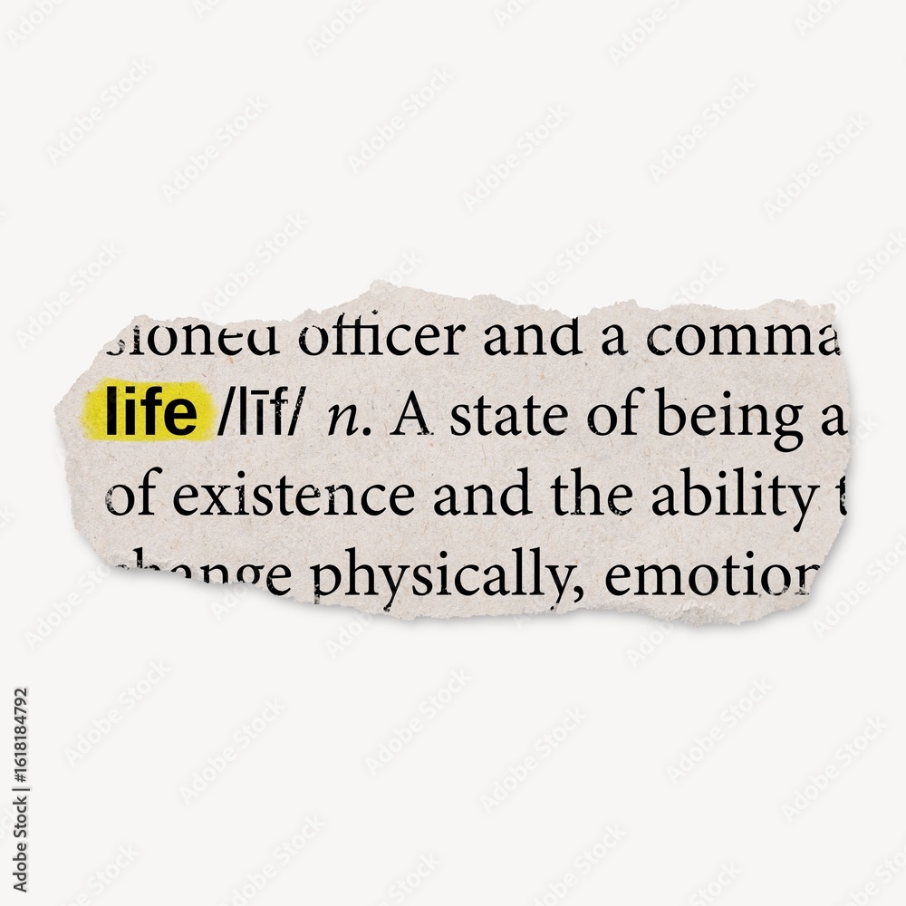 Life dictionary ephemera collage element Life dictionary ephemera collage element