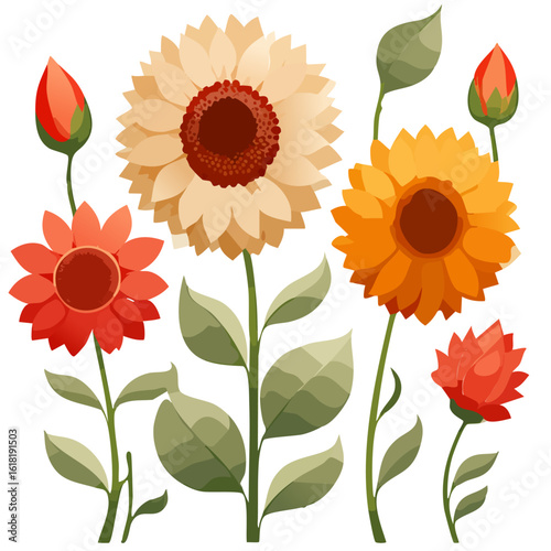a sunflower