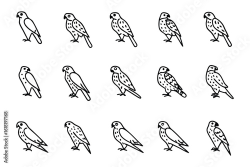 Skybound Sketch: A collection of meticulously crafted, pen-and-ink illustrations showcasing a majestic bird of prey in various poised attitudes, each bearing an exquisite expression of wild essence.