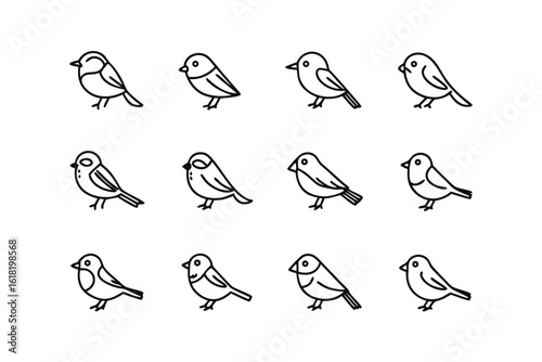 Feathered Trio: A captivating collection of twelve charming avian illustrations, offering a delightful display of delicate lines and intricate details.  