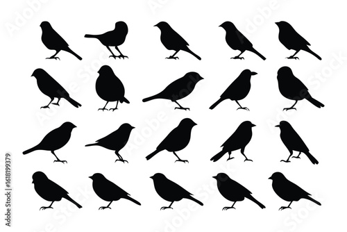 Silhouette Songbirds: A collection of various songbird silhouettes.