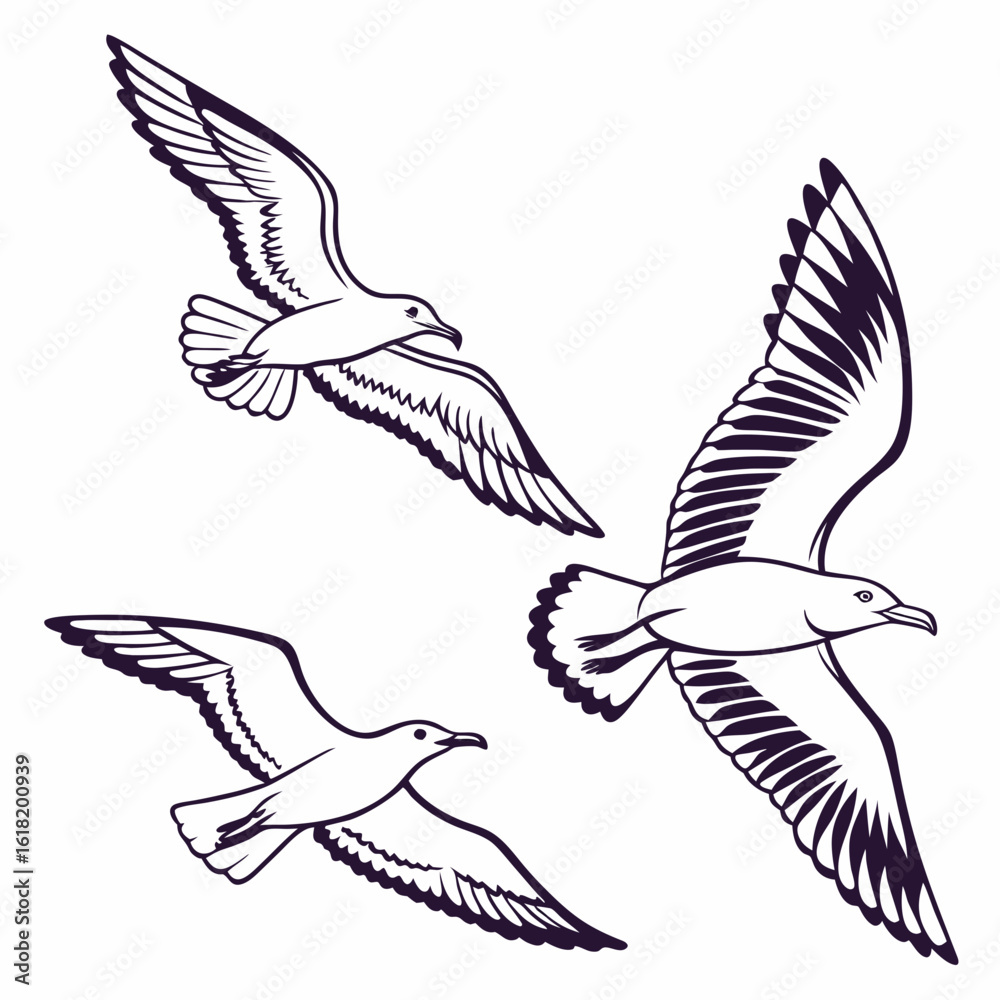Obraz premium Three stylized seagulls in flight with dark purple outlines on a white background bird flying