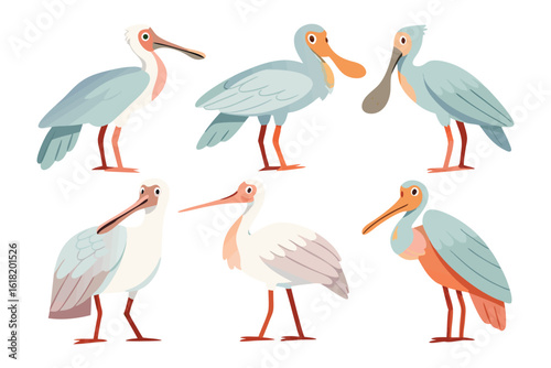 Illustrative Spoonbill Collection: A charming collection of spoonbills in various poses, with distinctive spoon-shaped beaks, embodying the graceful charm of these unique avian species.