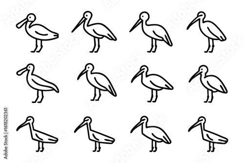 Ibis Illustration Collection: A collection of simple line illustrations of an ibis, capturing the bird's unique characteristics and graceful posture, perfect for design needs.