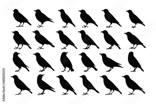 Avian Symphony: An artistic depiction showcases a multitude of birds, elegantly poised. Each silhouette embodies nature's serene beauty.