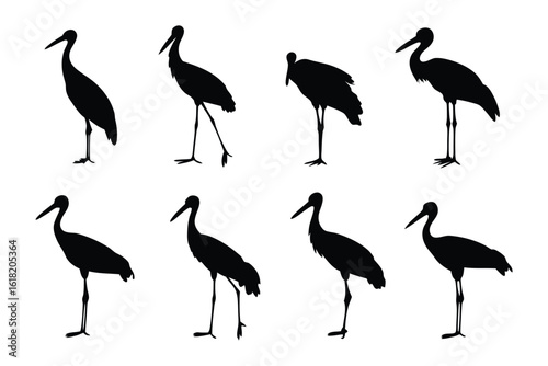 Elegant Silhouettes: Captivating silhouette captures the grace of wading bird. the refined minimalism evokes a sense of serene contemplation in the scene.