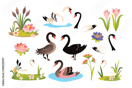 Swan's Serenity: A delicate illustration captures the elegance of swans gracefully gliding amidst aquatic plants and blossoming flowers, radiating tranquility.