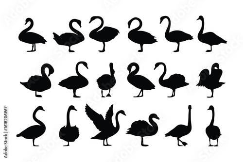 Elegant Swan Silhouette Collection: A captivating arrangement of swan silhouettes, each capturing the grace and poise of these majestic birds in various poses and stances.