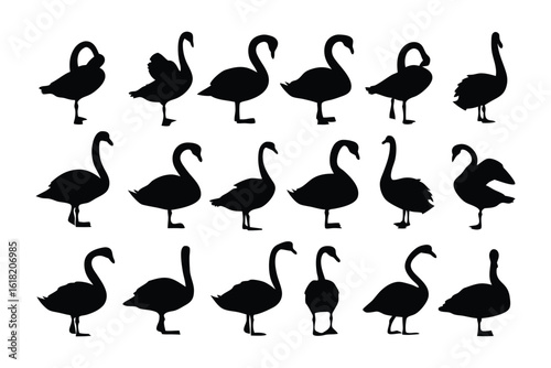 Swan Silhouettes: An array of elegant swan silhouettes, perfectly illustrating the grace and poise of these majestic creatures. showcasing their form. 