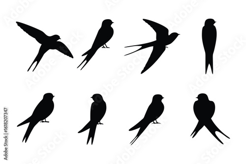 Swallow Silhouettes in Flight and Rest: A stunning collection of swallow silhouettes showcases the graceful flight patterns and serene resting postures of these elegant birds.