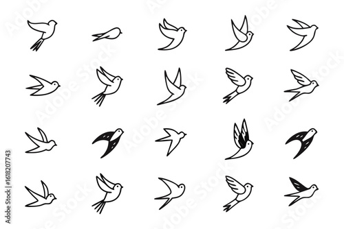 Flight of the Sketch Birds: A series of elegant bird sketches depict the beauty of flight, captured in graceful poses and clean lines. 