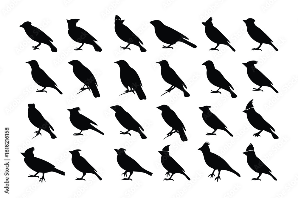 Obraz premium Bird Silhouette Grid: A captivating display of bird silhouettes showcases a variety of avian forms, each one capturing a unique pose and personality in stark monochromatic contrast.