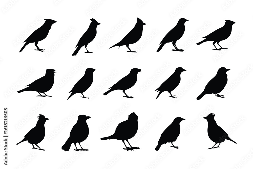 Obraz premium Bird Silhouettes: A collection of meticulously crafted bird silhouettes, each a testament to avian elegance and diversity, providing a unique set of artistic assets.