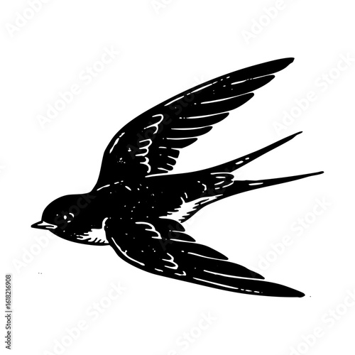 Swallow bird flying engraving black and white outline. Scratch board imitation. illustrated in vintage line art style on a white background.
