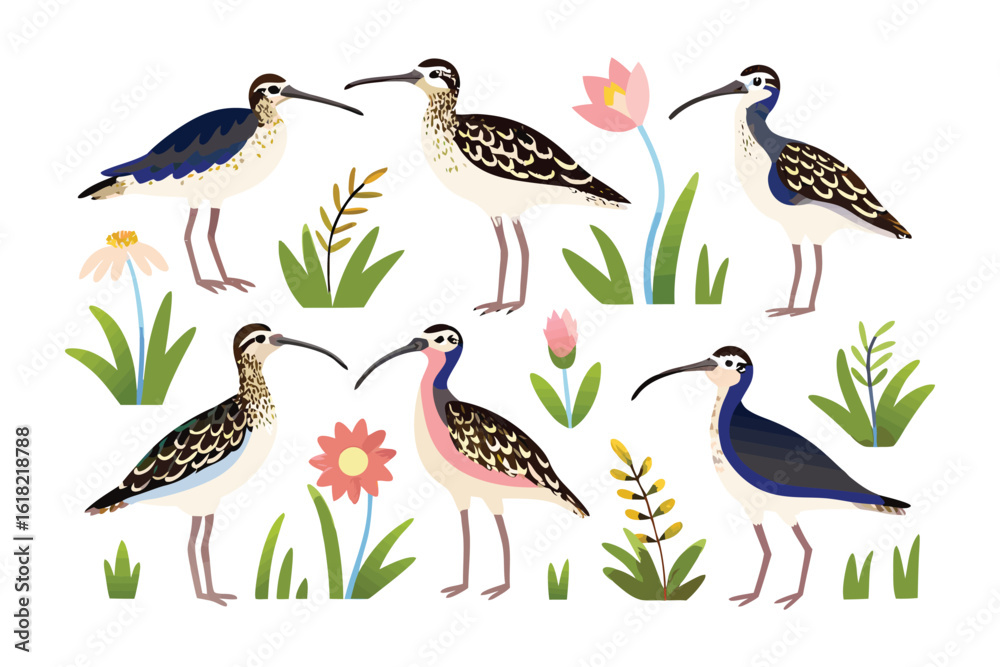 Obraz premium Elegant Wading Birds in a Floral Haven: A charming illustration showcases a variety of wading birds amidst delicate wildflowers and vibrant foliage.