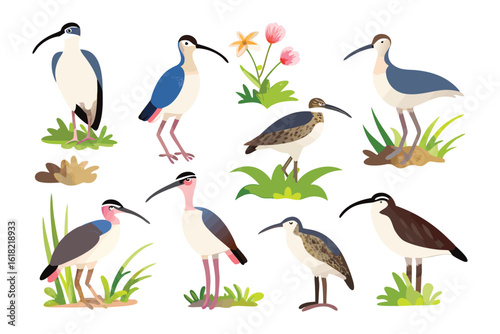 Feathery Ensemble: A curated collection of diverse birds comes to life in this illustration. Each bird stands as a testament to the grace and charm that each bird embodies. 